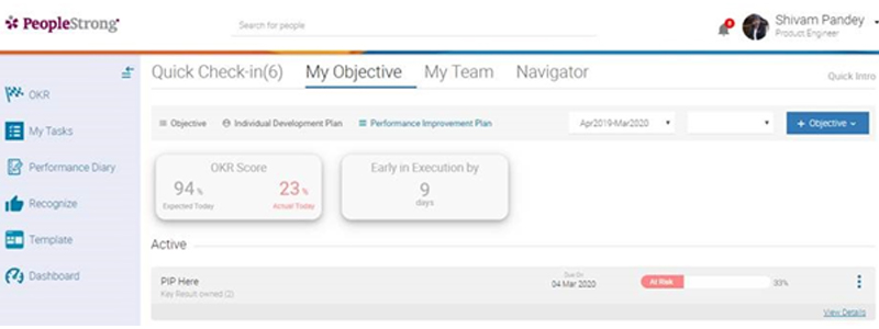 Performance Improvement Plan (PIP) related goals