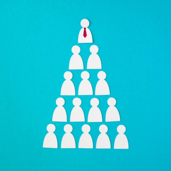 Navigating Hierarchy Culture