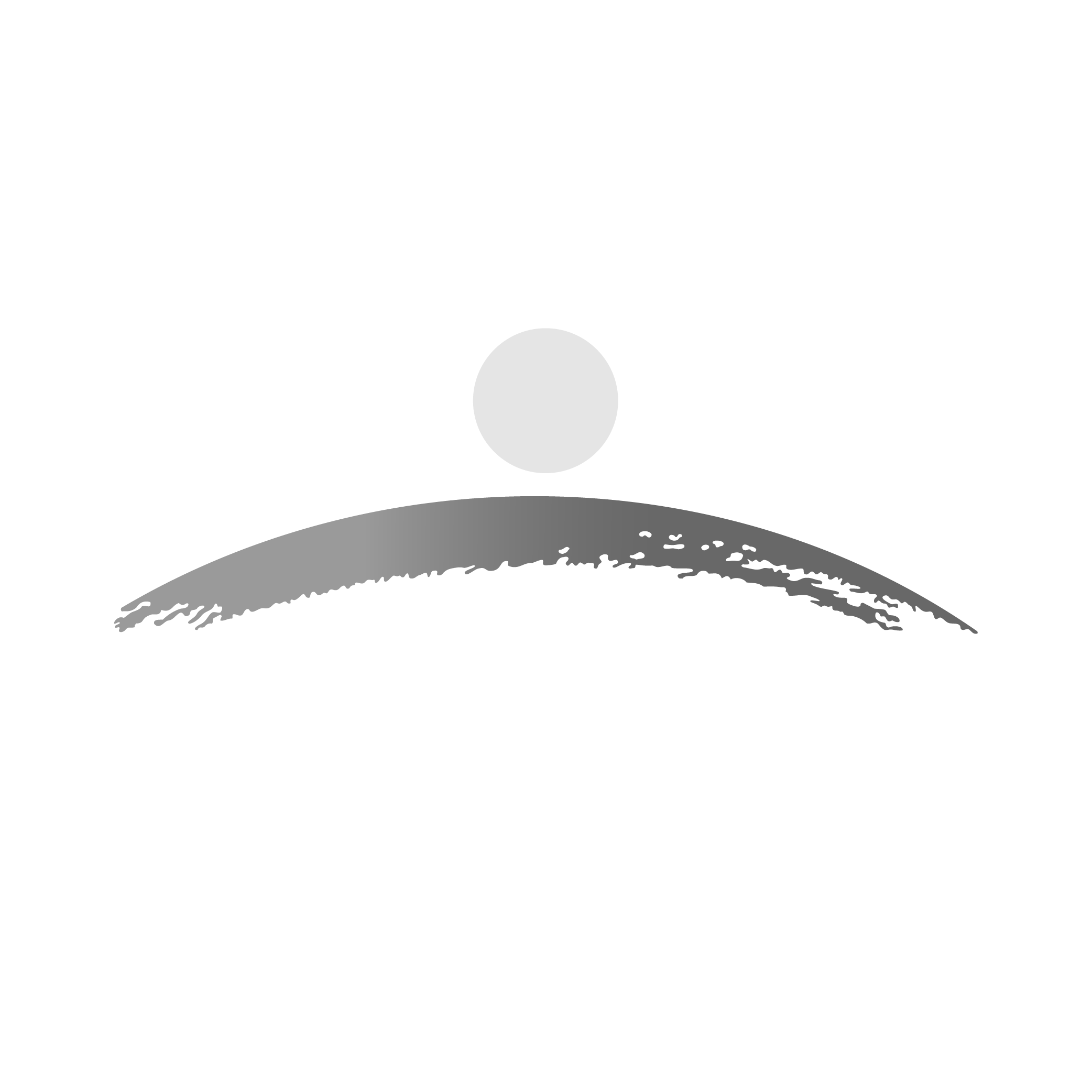 PIDILITE