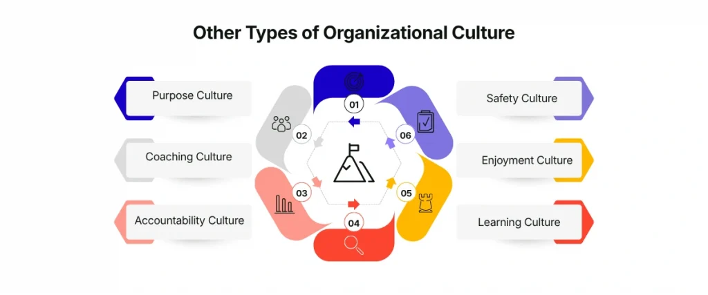 Other Types of Organizational Culture